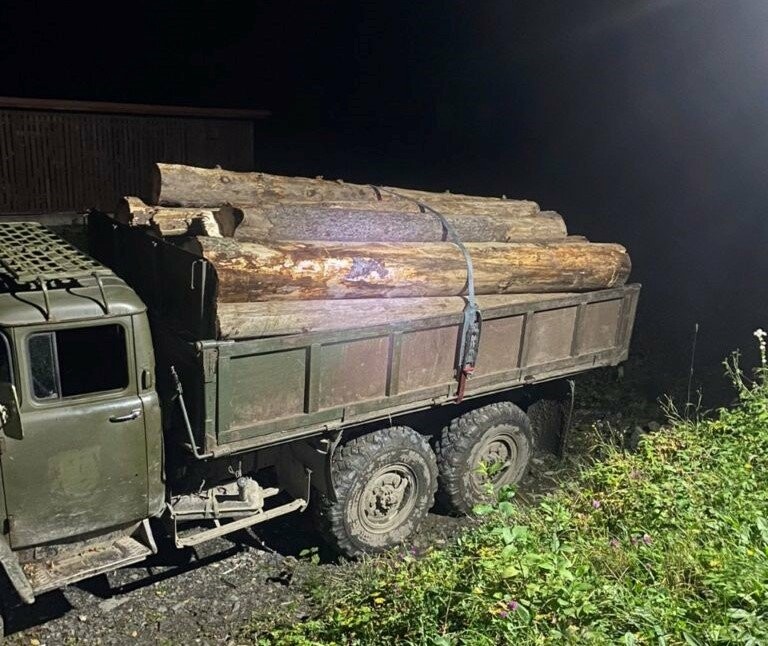 На Рахівщині виявили вантажівку з деревиною без документів