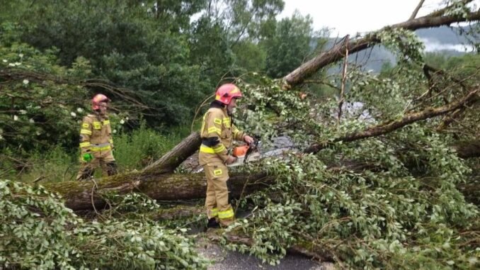 Повалені дерева та знеструмлені села: фахівці ДСНС та РЕМ ліквідовують наслідки буревію на Закарпатті
