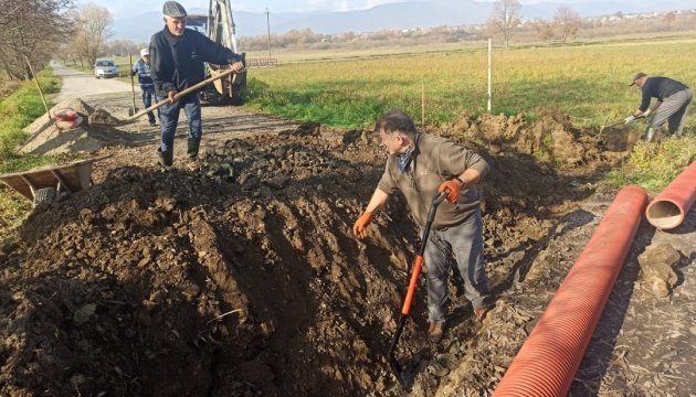 На Закарпатті науковці рятують від усихання Долину нарцисів