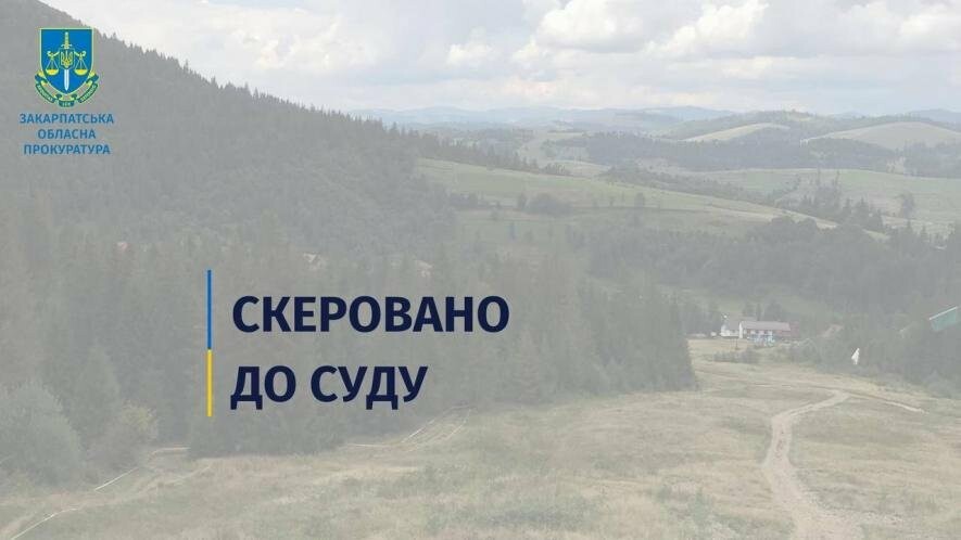 Судитимуть колишнього держреєстратора, чия службова недбалість призвела до відчуження землі у закарпатському Пилипці