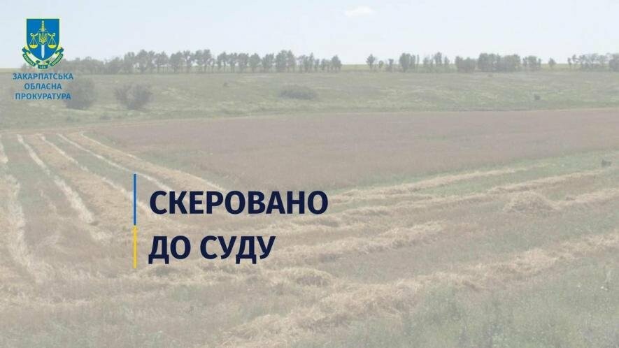 Закарпатку судитимуть через шахрайське заволодіння землею вартістю майже 1,7 млн грн