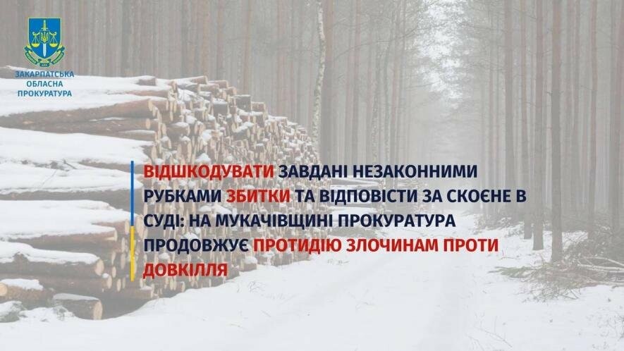 На Мукачівщині прокуратура продовжує протидію злочинам проти довкілля