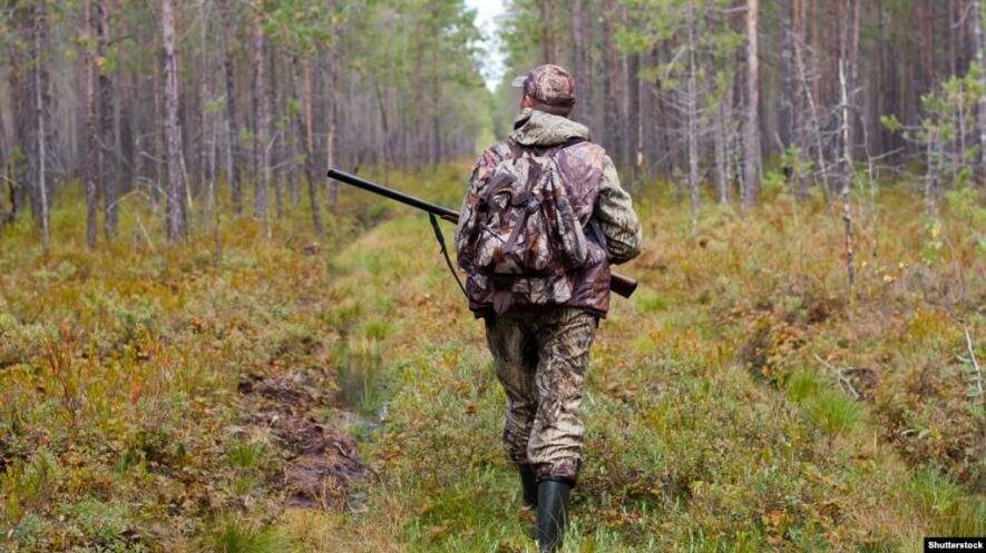 В Закарпатській області заборонили полювання з 5 серпня