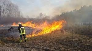 Кількість загорань в екосистемах Закарпаття за добу зменшилася удвічі 