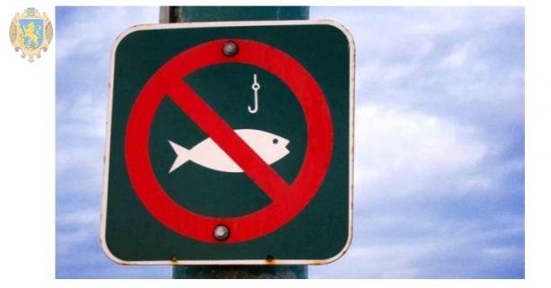 За порушення заборони на вилов риби в Закарпаття оштрафували чотирьох рибалок