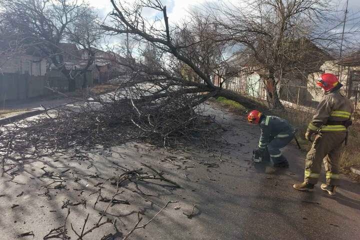 Штормове попередження ДСНС: в Закарпатті очікується сильний вітер