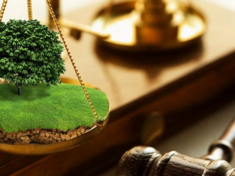 На Берегівщині громаді повернули землю вартістю понад 90 млн грн