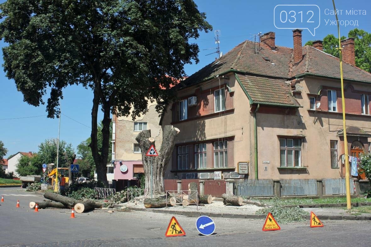 Як на площі Дружби Народів дерева зрубували: фоторепортаж, фото-8 Як на площі Дружби Народів дерева зрубували: фоторепортаж, фото-8