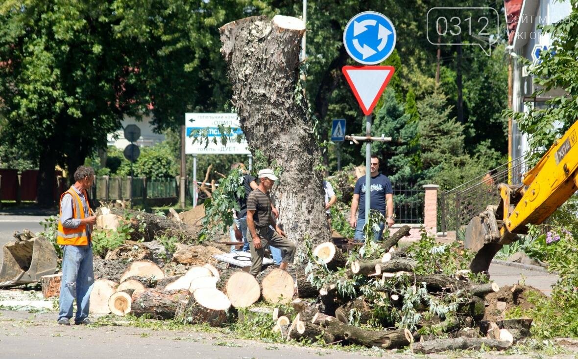 Як на площі Дружби Народів дерева зрубували: фоторепортаж, фото-13 Як на площі Дружби Народів дерева зрубували: фоторепортаж, фото-13