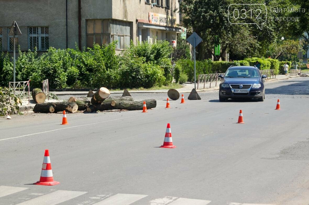 Як на площі Дружби Народів дерева зрубували: фоторепортаж, фото-11 Як на площі Дружби Народів дерева зрубували: фоторепортаж, фото-11