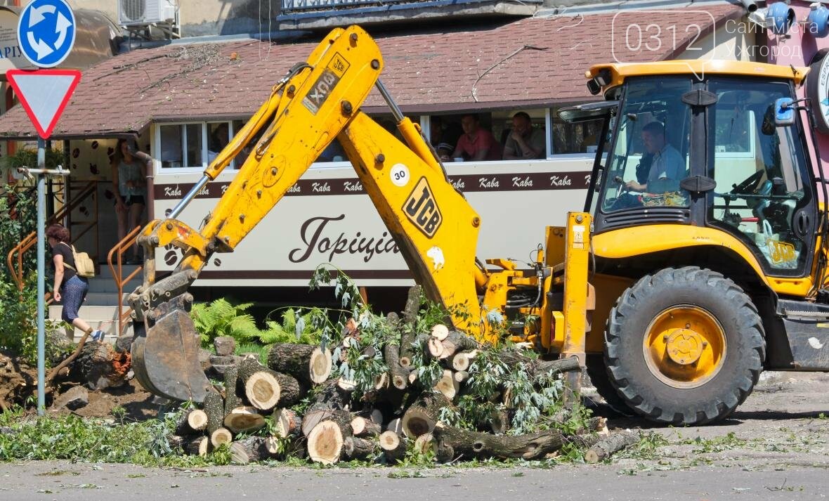 Як на площі Дружби Народів дерева зрубували: фоторепортаж, фото-4 Як на площі Дружби Народів дерева зрубували: фоторепортаж, фото-4