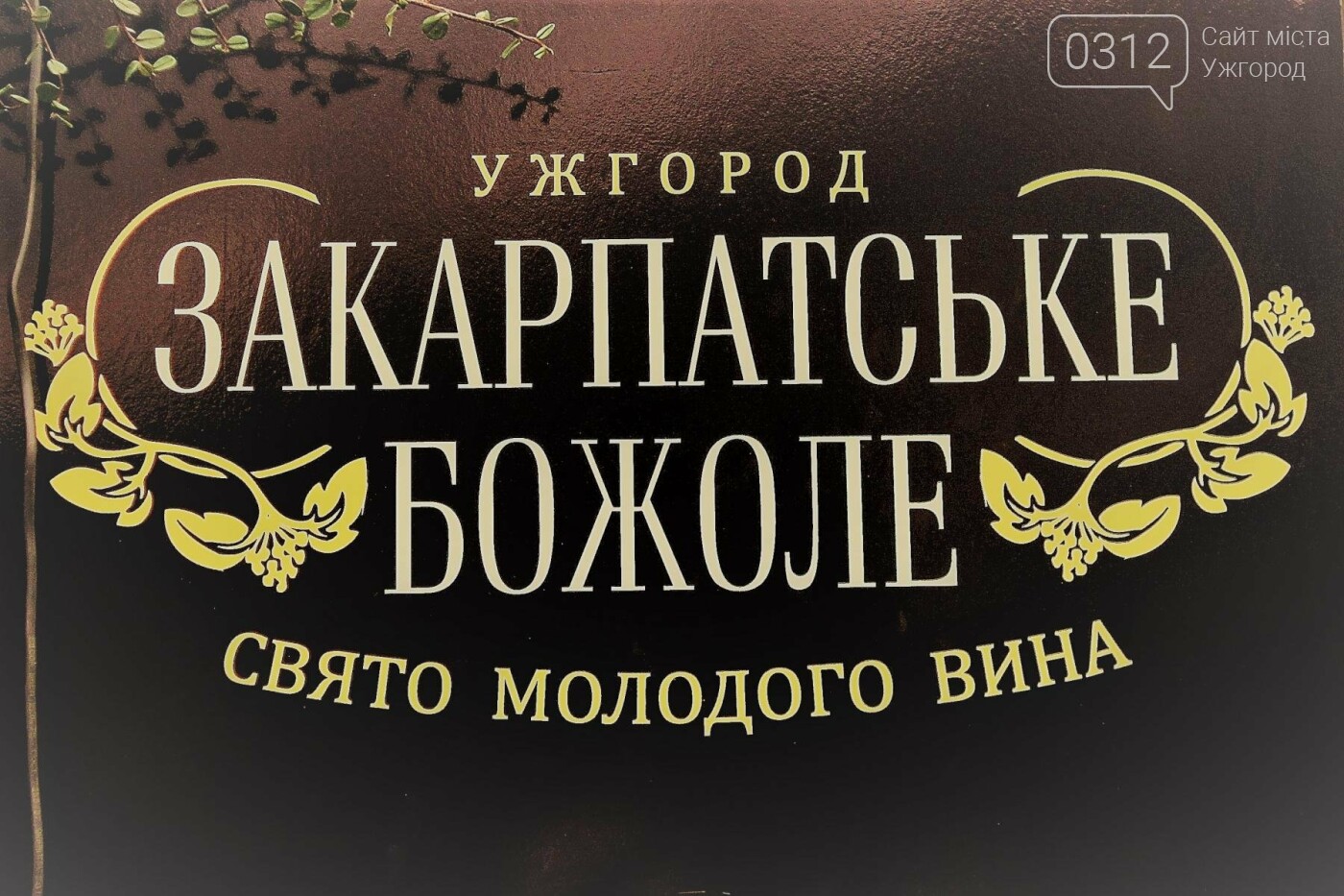 Ужгород п’є молоде вино: фоторепортаж, фото-1 Ужгород п’є молоде вино: фоторепортаж, фото-1