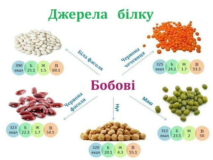 Вегетаріанство: це здорово чи модно?, фото-3 Вегетаріанство: це здорово чи модно?, фото-3