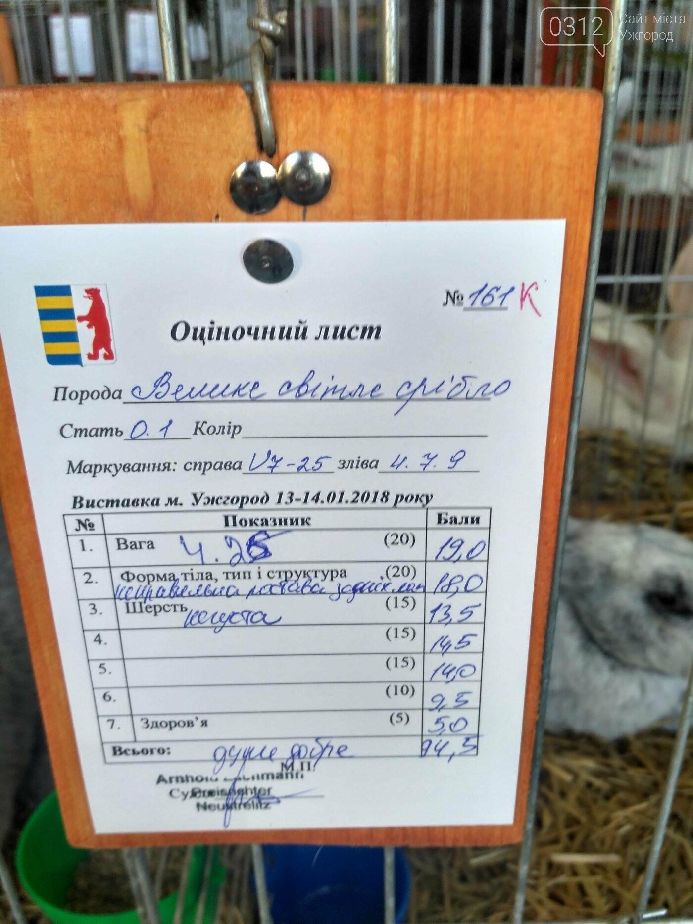 В Ужгороді пройшов 7-й традиційний показ за участі понад 2..., фото-12 В Ужгороді пройшов 7-й традиційний показ за участі понад 200 елітних кроликів (ФОТОРЕПОРТАЖ), фото-12