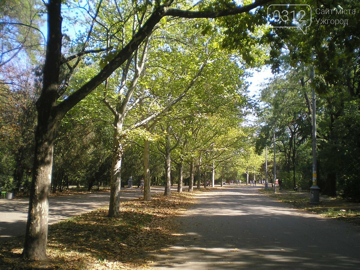 ТОП-6 цікавих фактів про Тараса Шевченка, фото-5 ТОП-6 цікавих фактів про Тараса Шевченка, фото-5