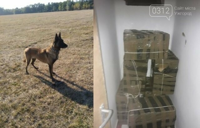 Знахідка тижня: У закарпатця з угорським паспортом вдома зн..., фото-4 Знахідка тижня: У закарпатця з угорським паспортом вдома знайшли 12 000 пачок цигарок (ФОТО), фото-4