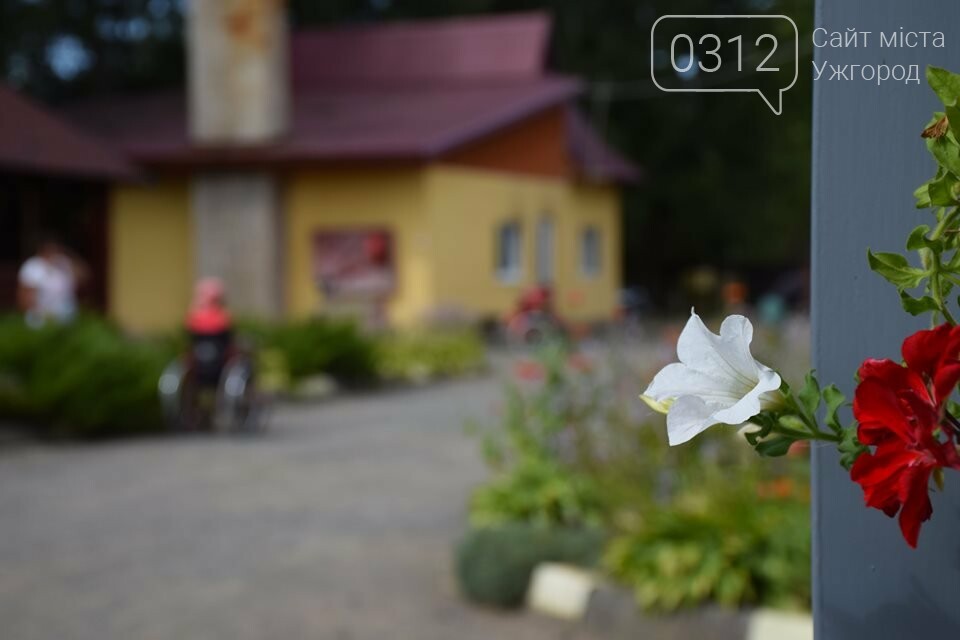 Унікальний реабілітаційний центр «Парасолька» на Закарпатті..., фото-2 Унікальний реабілітаційний центр «Парасолька» на Закарпатті готується до свого 10-річчя (ФОТО), фото-2