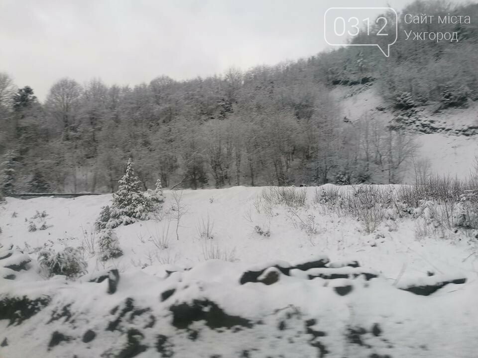 Західну частину Закарпаття замело снігом (ФОТОРЕПОРТАЖ), фото-1 Західну частину Закарпаття замело снігом (ФОТОРЕПОРТАЖ), фото-1