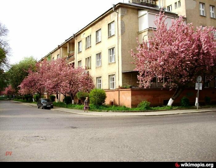 Купить Дом В Ужгороде Фото