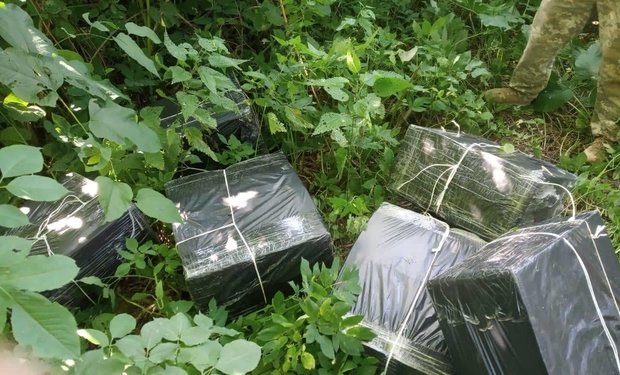На Прикарпатті масове нашестя іспанських слимаків