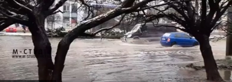 Підтоплені двори та поламані  дерева: в Ужгороді негода наробила чимало біди