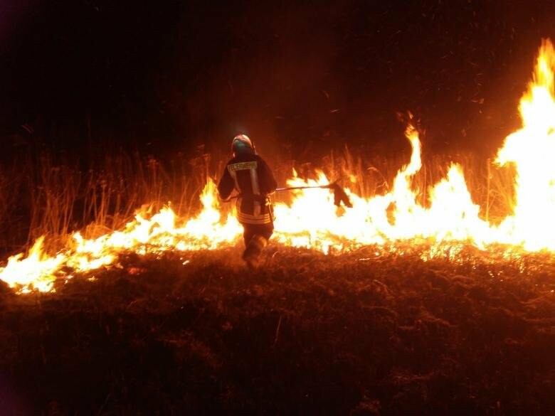 Закарпатці почали палити сухостій: за минулі вихідні вогнеборці ліквідували 12 пожеж