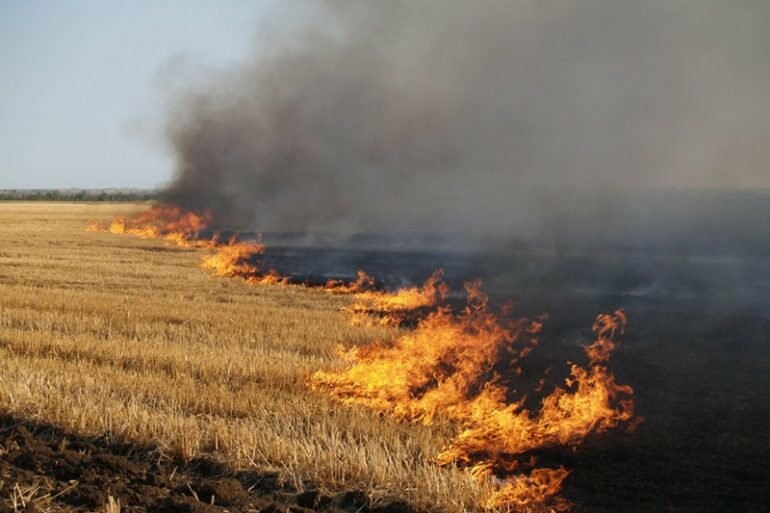На Закарпатті працюватиме Координаційна група: боротиметься з паліями трави