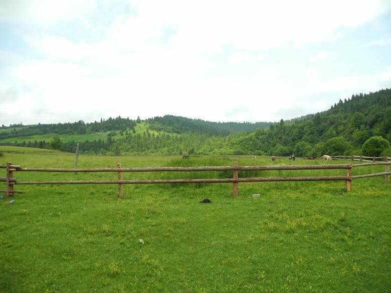 Боротьба за землі: закарпатці 