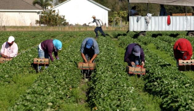 Українські заробітчани найбільше хочуть працювати в Німеччині та Польщі