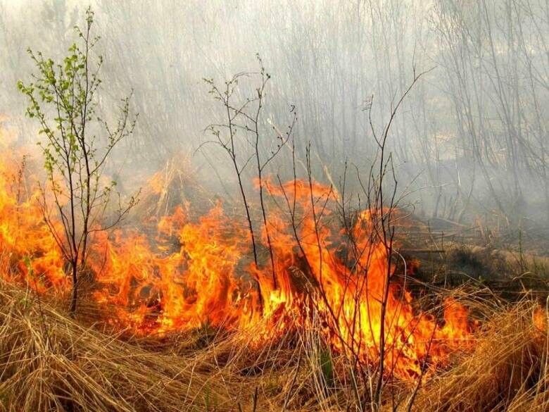 Закарпатців попереджають про високу ймовірність виникнення пожеж 