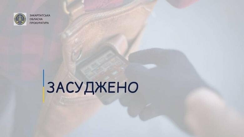 За крадіжку та грабіж мешканця Берегова засудили до понад 4 років ув’язнення