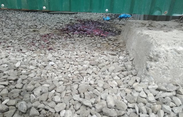 Вбивство 20-річного юнака на Закарпатті: Поліція розповіла..., фото-2 Вбивство 20-річного юнака на Закарпатті: Поліція розповіла офіційні подробиці та шукає свідків (ФОТО, ВІДЕО), фото-2