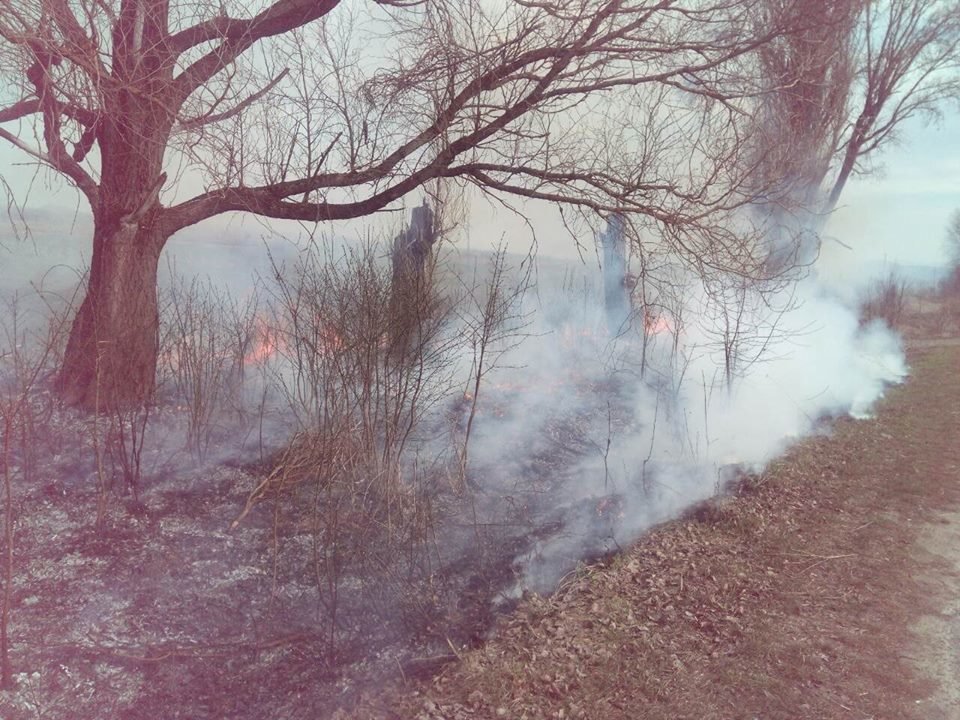 На Закарпатті патрульні затримали паліїв сухої трави (ФОТО) , фото-1 На Закарпатті патрульні затримали паліїв сухої трави (ФОТО) , фото-1