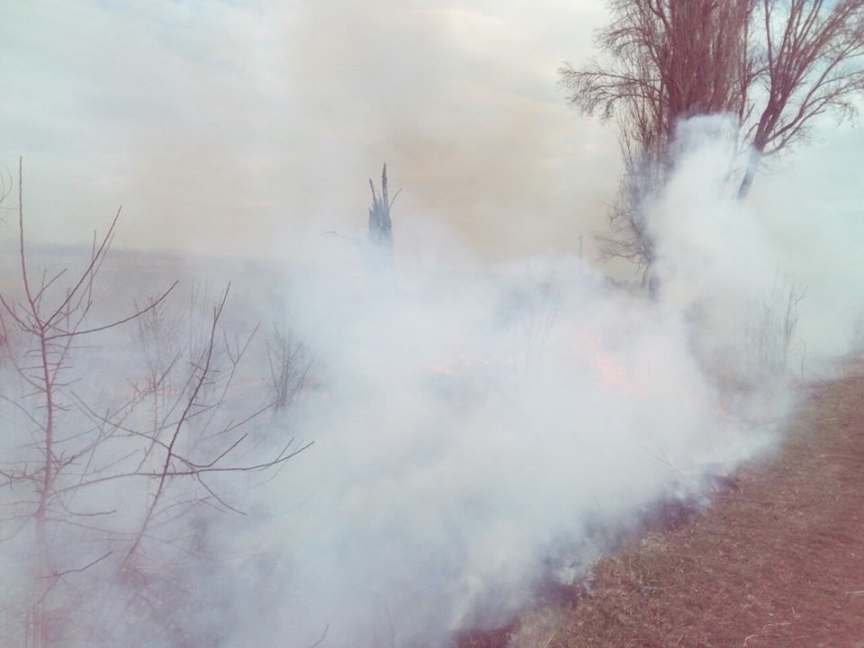 На Закарпатті патрульні затримали паліїв сухої трави (ФОТО) , фото-2 На Закарпатті патрульні затримали паліїв сухої трави (ФОТО) , фото-2