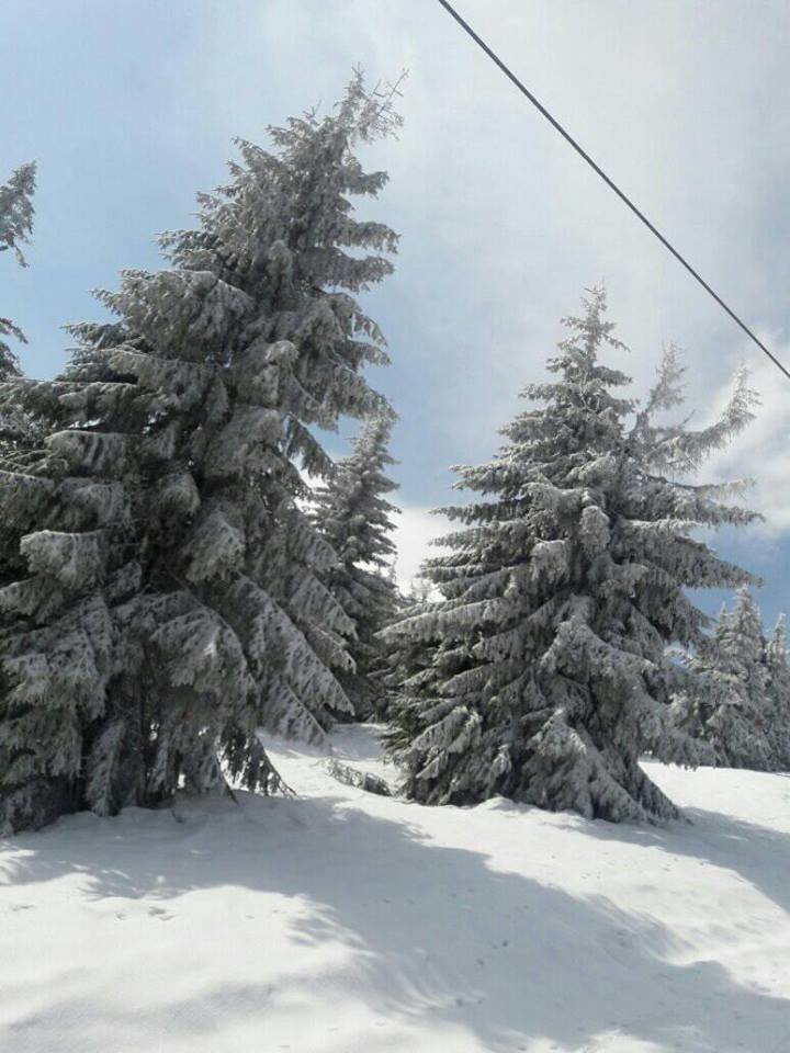 На Закарпаття повернулася зима. Гори засипає снігом (ФОТО), фото-8 На Закарпаття повернулася зима. Гори засипає снігом (ФОТО), фото-8