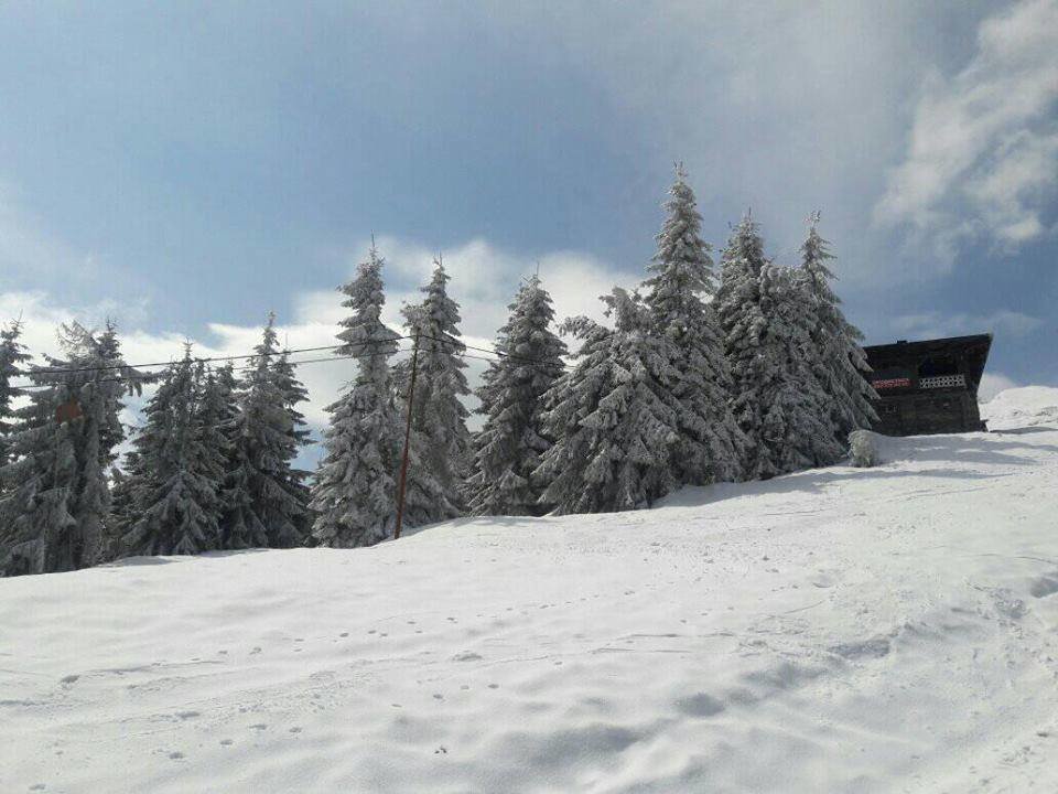 На Закарпаття повернулася зима. Гори засипає снігом (ФОТО), фото-5 На Закарпаття повернулася зима. Гори засипає снігом (ФОТО), фото-5