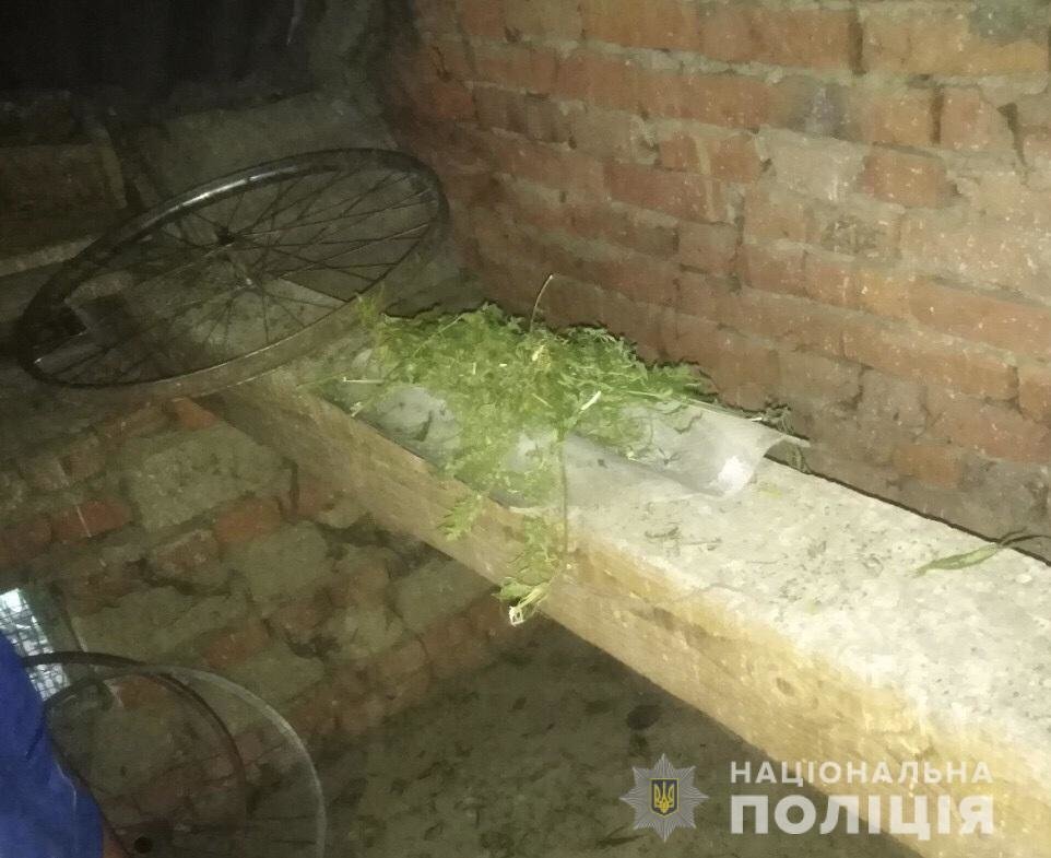 Закарпатські правоохоронці у неповнолітнього вилучили мари..., фото-1 Закарпатські правоохоронці у неповнолітнього вилучили марихуану (ФОТО), фото-1