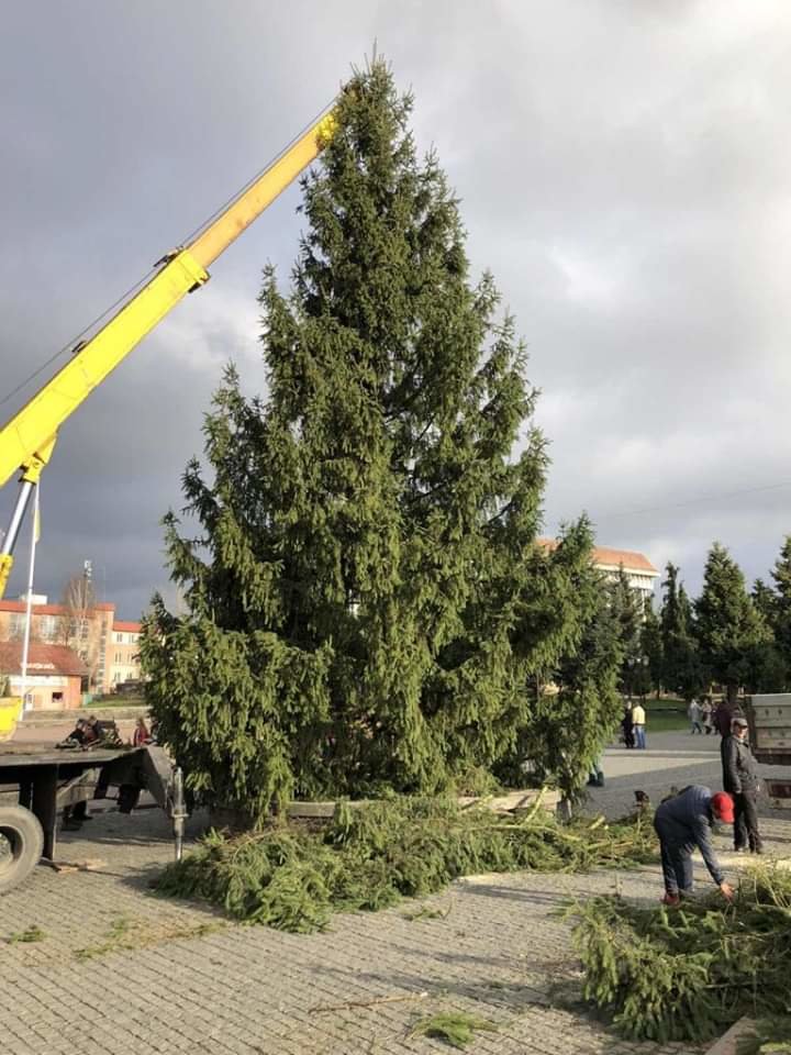 У Хусті пробно запалили вогні на головній новорічній ялинц..., фото-2 У Хусті пробно запалили вогні на головній новорічній ялинці міста (ФОТО), фото-2