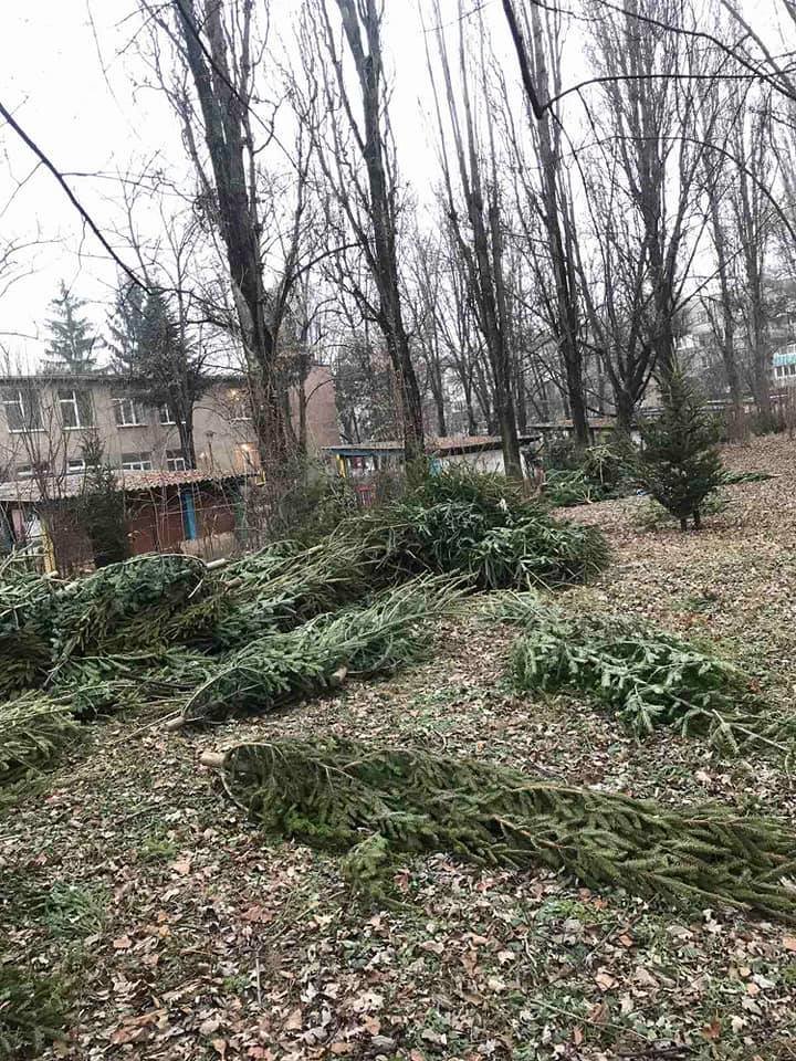 На вулицях Ужгорода з'явилися смітники з непроданих ялинок..., фото-1 На вулицях Ужгорода з'явилися смітники з непроданих ялинок (ФОТОФАКТ), фото-1