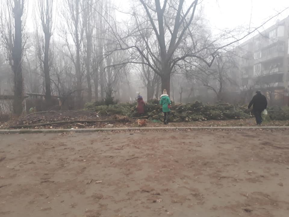 На вулицях Ужгорода з'явилися смітники з непроданих ялинок..., фото-2 На вулицях Ужгорода з'явилися смітники з непроданих ялинок (ФОТОФАКТ), фото-2