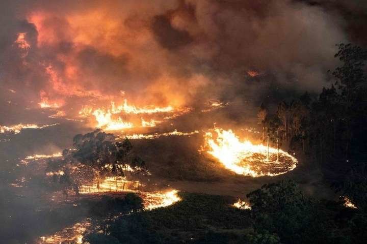 Пекло на землі: десятки загиблих людей, сотні мільйонів тва..., фото-4 Пекло на землі: десятки загиблих людей, сотні мільйонів тварин та катастрофа планетарного масштабу (ФОТО), фото-4