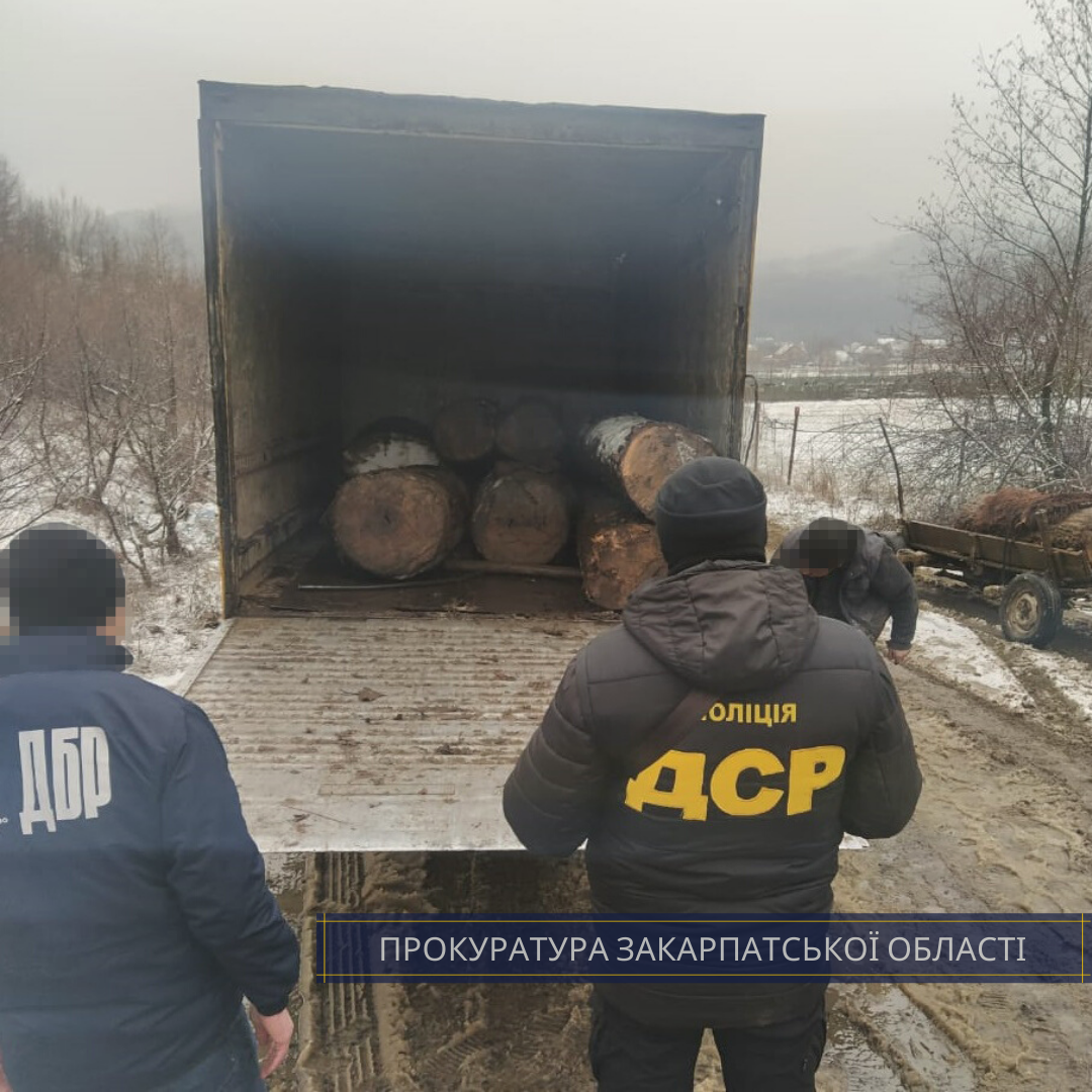 $3 тис за надання дозволу на вирубку дубу: прокуратура Зака..., фото-2 $3 тис за надання дозволу на вирубку дубу: прокуратура Закарпаття викрила лісівника-хабарника (ФОТО), фото-2