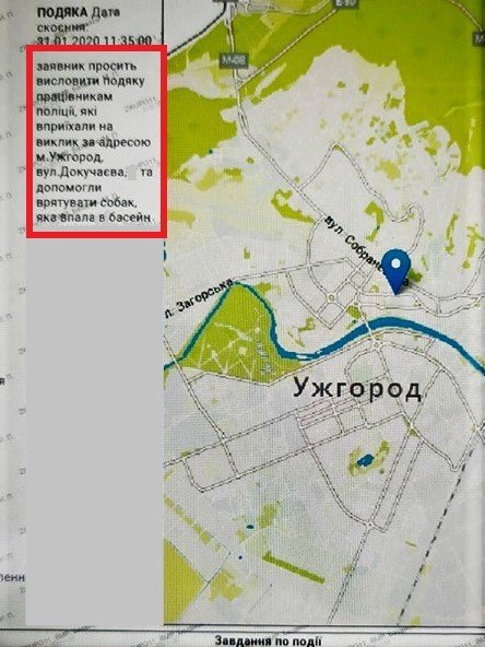 В Ужгороді собака два дні чекав на порятунок у двометровому..., фото-1 В Ужгороді собака два дні чекав на порятунок у двометровому басейні (ФОТО), фото-1