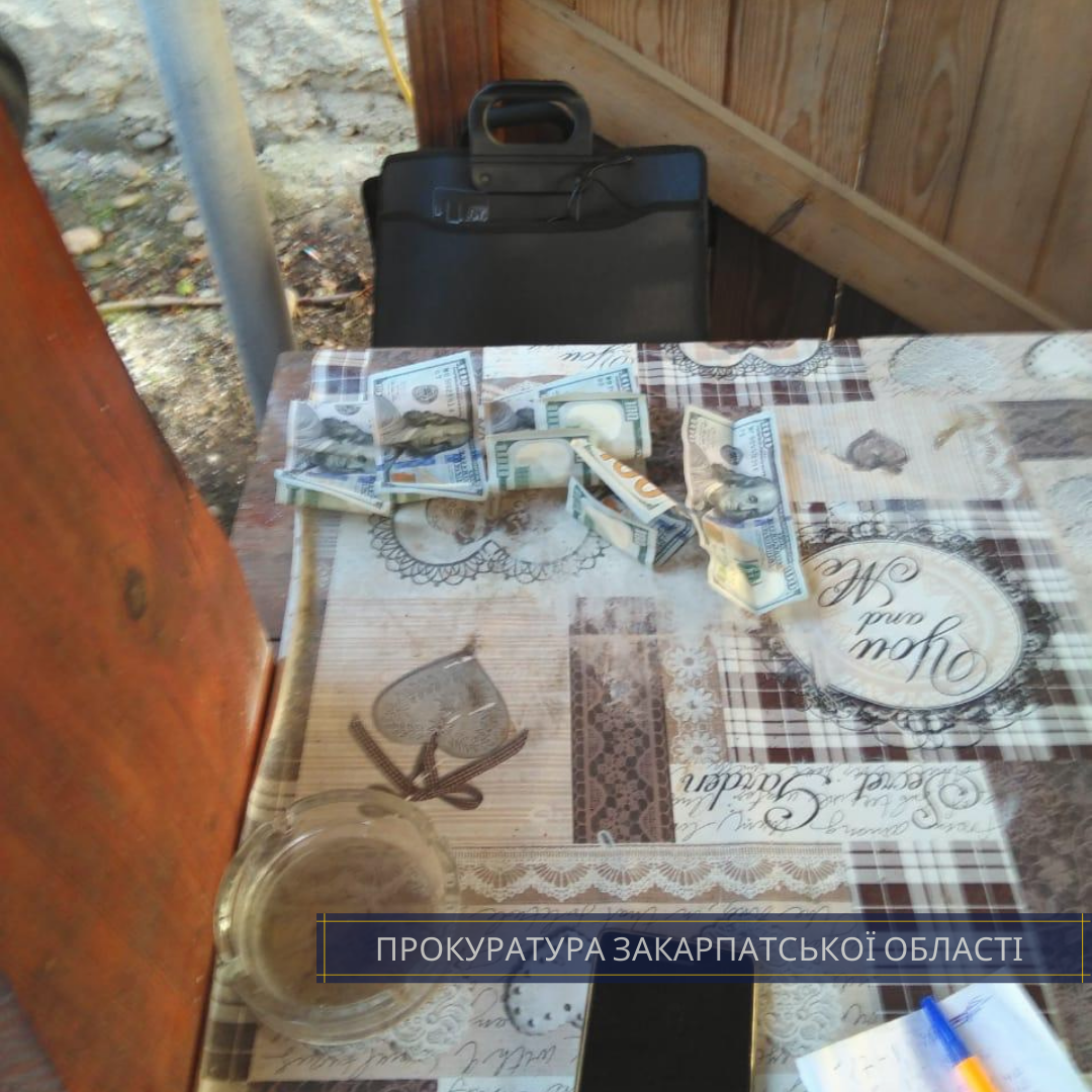 На Закарпатті судитимуть лісника, який вимагав хабар за від..., фото-1 На Закарпатті судитимуть лісника, який вимагав хабар за відпуск деревини дубу (ФОТО), фото-1