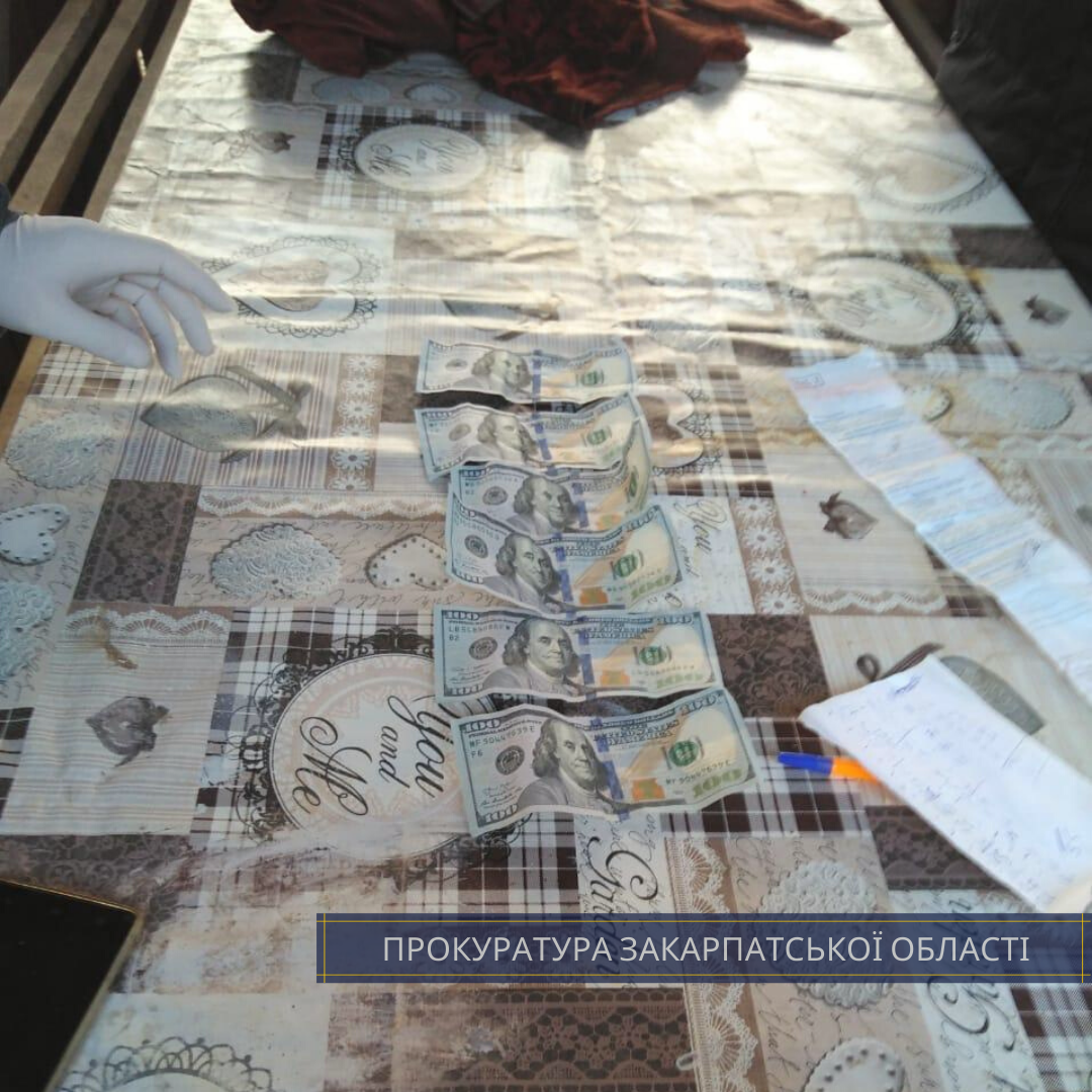 На Закарпатті судитимуть лісника, який вимагав хабар за від..., фото-2 На Закарпатті судитимуть лісника, який вимагав хабар за відпуск деревини дубу (ФОТО), фото-2