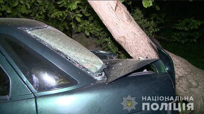 Жахлива трагедія: п'яна жінка за кермом збила 4 дітей, один..., фото-4 Жахлива трагедія: п'яна жінка за кермом збила 4 дітей, один з хлопчиків перебуває у комі (ФОТО, ВІДЕО), фото-4