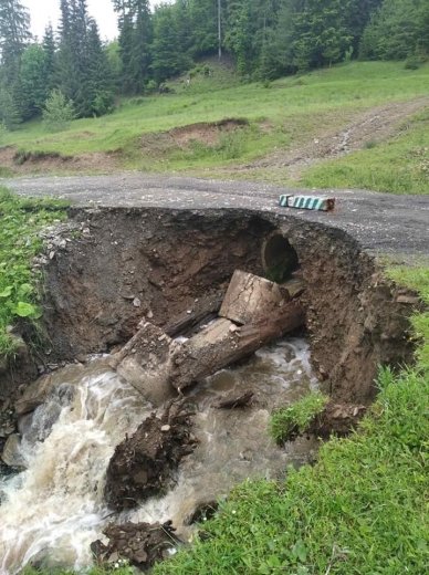 Повінь на Закарпатті спричинила пошкодження лісової інфраст..., фото-2 Повінь на Закарпатті спричинила пошкодження лісової інфраструктури: зруйновано 16 мостів (ФОТО), фото-2
