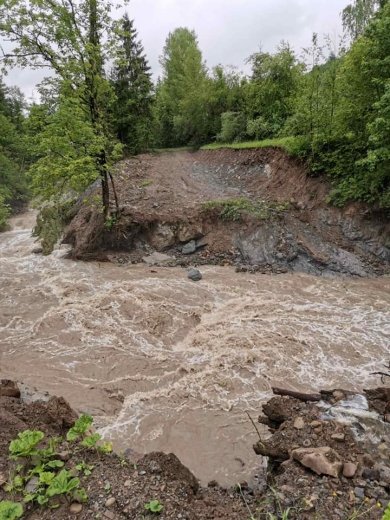Повінь на Закарпатті спричинила пошкодження лісової інфраст..., фото-3 Повінь на Закарпатті спричинила пошкодження лісової інфраструктури: зруйновано 16 мостів (ФОТО), фото-3
