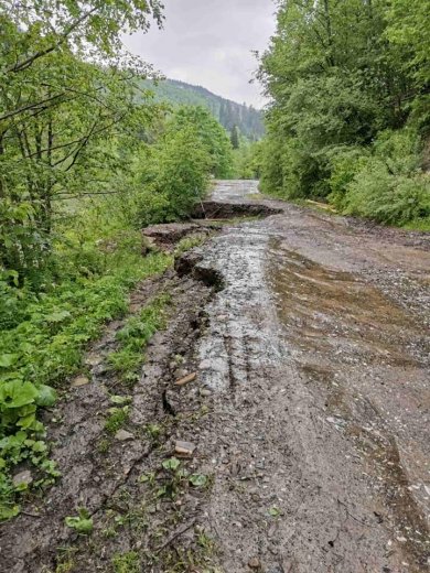 Повінь на Закарпатті спричинила пошкодження лісової інфраст..., фото-4 Повінь на Закарпатті спричинила пошкодження лісової інфраструктури: зруйновано 16 мостів (ФОТО), фото-4