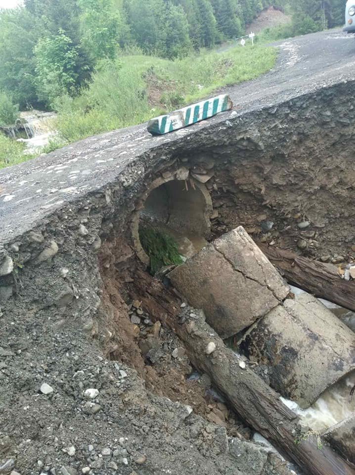 Повінь на Закарпатті спричинила пошкодження лісової інфраст..., фото-5 Повінь на Закарпатті спричинила пошкодження лісової інфраструктури: зруйновано 16 мостів (ФОТО), фото-5